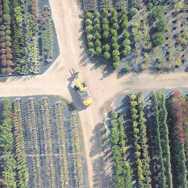 Rijn De Bruyn BV Boomkwekerij Van