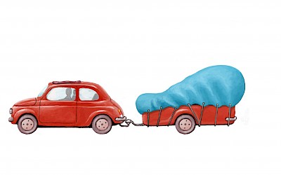 U kan uw bestelling op de kwekerij komen afhalen. Onze medewerkers helpen u bij het laden van uw bestelling. Houd bij het afhalen steeds een aantal regels in acht in verband met het correcte transport van uw plantgoed. Dit advies kan u terugvinden op de adviespagina bij transport van het plantgoed.

Indien gewenst kan u uw bestelling ook laten leveren. Indien u via onze catalogus online bestelt, kan u de vraag naar prijsofferte hiervoor aanvinken. U kan hiervoor ook steeds contact opnemen met onze medewerkers. Wanneer wij bij u toekomen dient er steeds iemand aanwezig te zijn om het plantgoed in ontvangst te nemen.