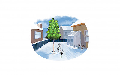 For the planting time of evergreen trees, we divide these into two categories: the leaf-wood trees and the conifers. 

Even in the winter, evergreen leaf-wood trees lose water through evaporation. When these are planted with root ball, the best planting time is during the spring. Evergreen leaf-wood trees are highly frost-sensitive; therefore, these species should never be planted during periods of frost. 

In contrast, the ideal planting time for evergreen conifers is early September. They will then generate new roots for the winter. Sequoias are an exception to this; the best time to plant these is after the period of strong easterly winds, in the second half of April.