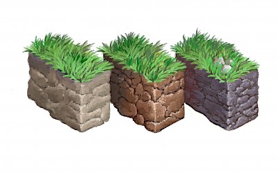 Naast de keuzeparameters die het gewenste eindbeeld van uw boom bepalen, moet er ook rekening worden gehouden met de standplaats. Komt de boom in zand-, leem- of kleigrond te staan? Hoe is de bodemvochtigheid? Is de grond zeer kalkrijk of zuur? Komt de boom in schrale wind te staan? Heeft de boom veel doorwortelbare ruimte ter beschikking of komt hij dicht bij een verharde zone te staan? 

Dit zijn allen belangrijke parameters bij de uiteindelijke keuze.