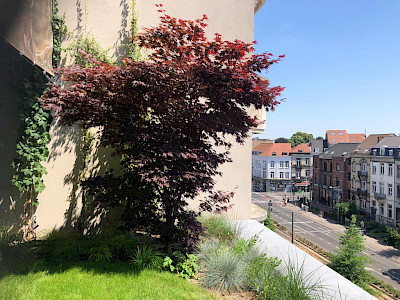 Hangende tuin - Brussel