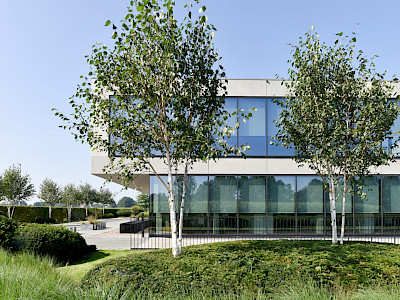 Bedrijfstuin - Geel